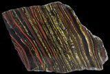 Polished Tiger Iron Stromatolite - ( Billion Years) #65360-1